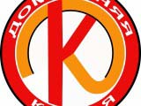 вариант логотипа компании