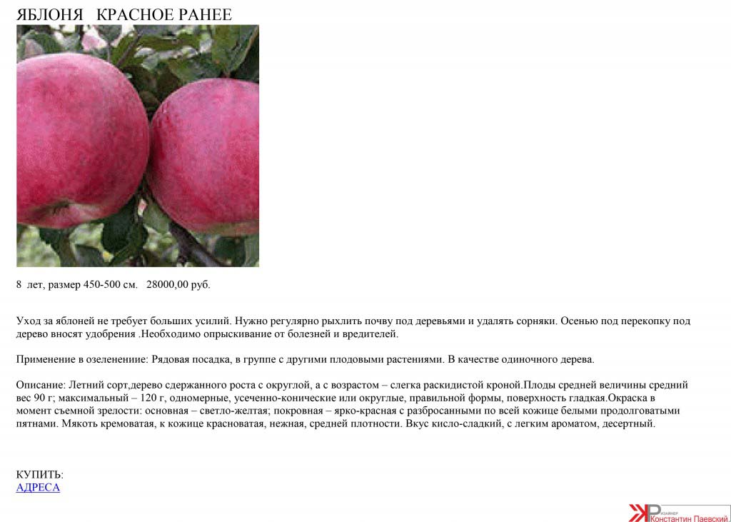 Красные сорта яблок фото с названием и описанием