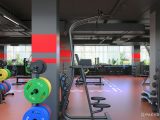 проектирование тренажерного зала фитнес клуба