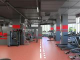 проектирование тренажерного зала фитнес клуба